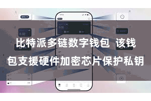 比特派多链数字钱包 该钱包支援硬件加密芯片保护私钥