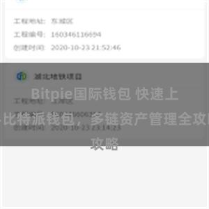 Bitpie国际钱包 快速上手比特派钱包，多链资产管理全攻略