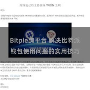 Bitpie跨平台 解决比特派钱包使用问题的实用技巧