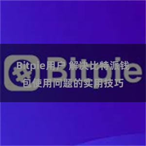 Bitpie用户 解决比特派钱包使用问题的实用技巧