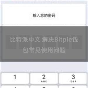 比特派中文 解决Bitpie钱包常见使用问题