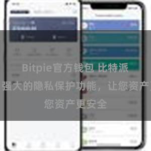 Bitpie官方钱包 比特派钱包：强大的隐私保护功能，让您资产更安全