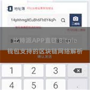 比特派APP直链 Bitpie钱包支持的区块链网络解析