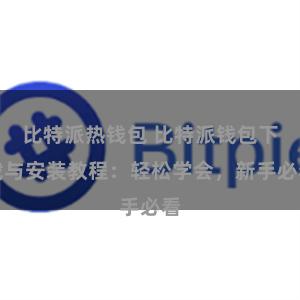 比特派热钱包 比特派钱包下载与安装教程：轻松学会，新手必看