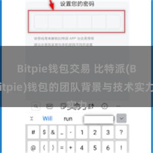 Bitpie钱包交易 比特派(Bitpie)钱包的团队背景与技术实力