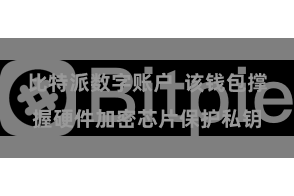 比特派数字账户  该钱包撑握硬件加密芯片保护私钥