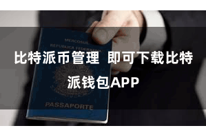 比特派币管理  即可下载比特派钱包APP