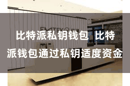 比特派私钥钱包  比特派钱包通过私钥适度资金