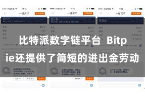 比特派数字链平台  Bitpie还提供了简短的进出金劳动